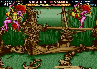 image de The First Funky Fighter